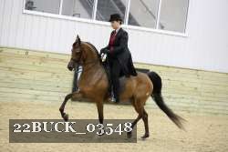 22BUCK_03548 proof