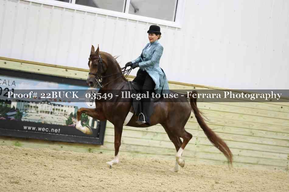 Proof 22BUCK_03549