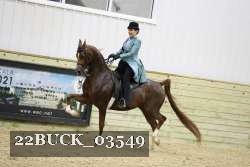 22BUCK_03549 proof