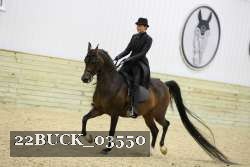 22BUCK_03550 proof