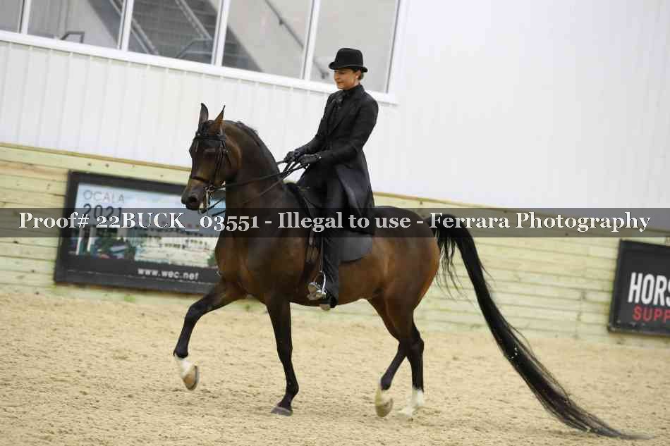 Proof 22BUCK_03551