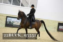 22BUCK_03551 proof