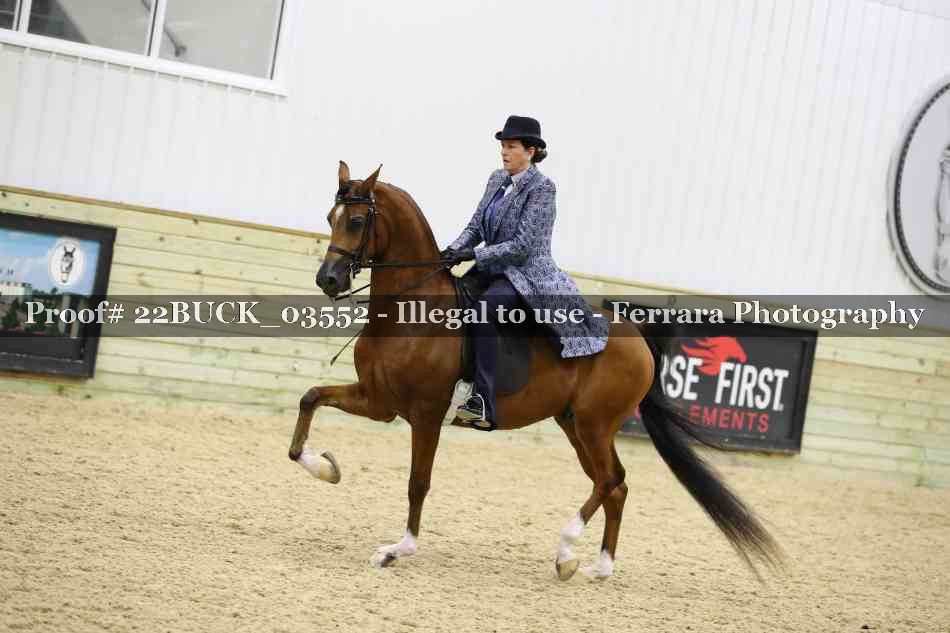 Proof 22BUCK_03552