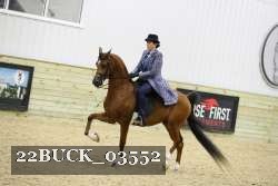 22BUCK_03552 proof