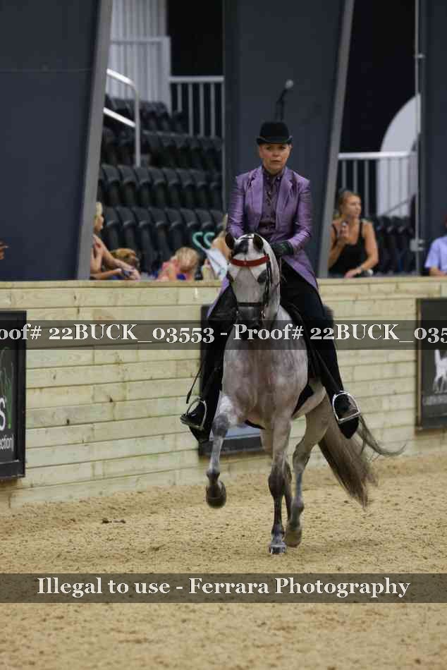 Proof 22BUCK_03553