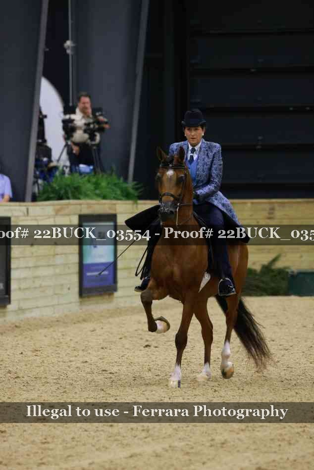Proof 22BUCK_03554
