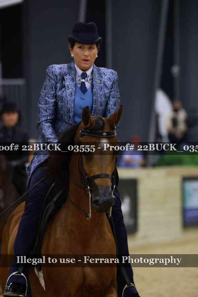 Proof 22BUCK_03555