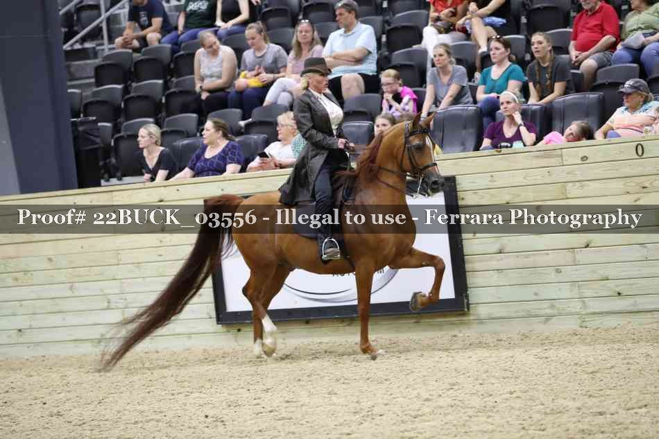 Proof 22BUCK_03556