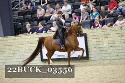 22BUCK_03556 proof