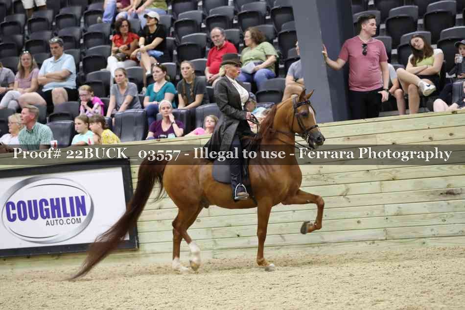 Proof 22BUCK_03557