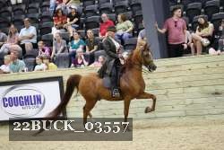 22BUCK_03557 proof