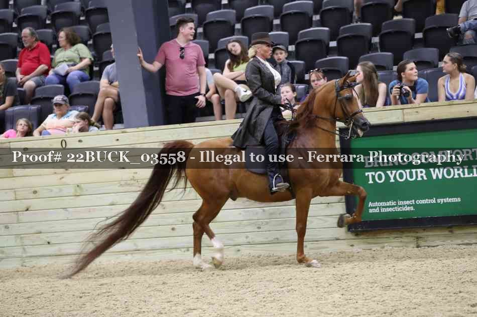 Proof 22BUCK_03558