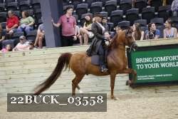 22BUCK_03558 proof