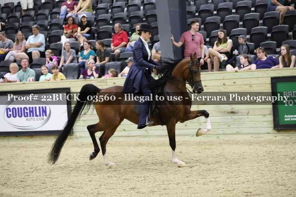 Proof 22BUCK_03560