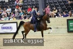 22BUCK_03560 proof