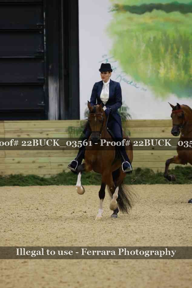 Proof 22BUCK_03561