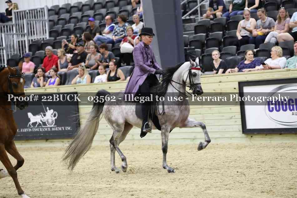 Proof 22BUCK_03562