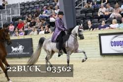 22BUCK_03562 proof