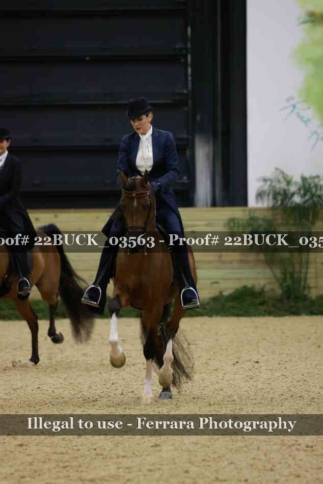 Proof 22BUCK_03563