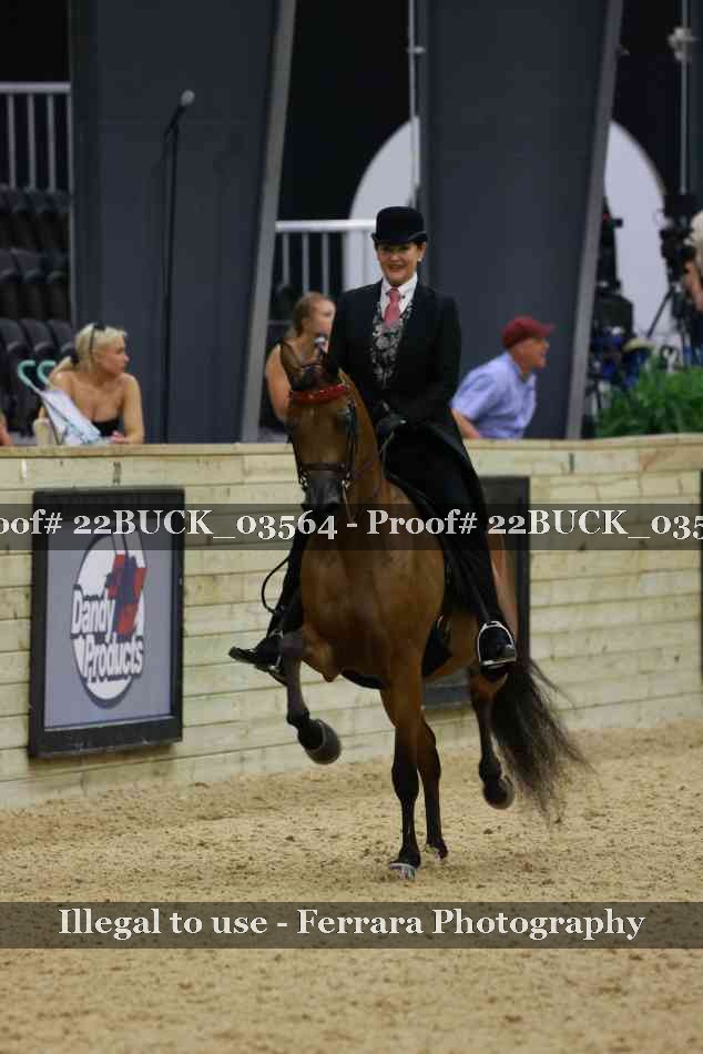 Proof 22BUCK_03564