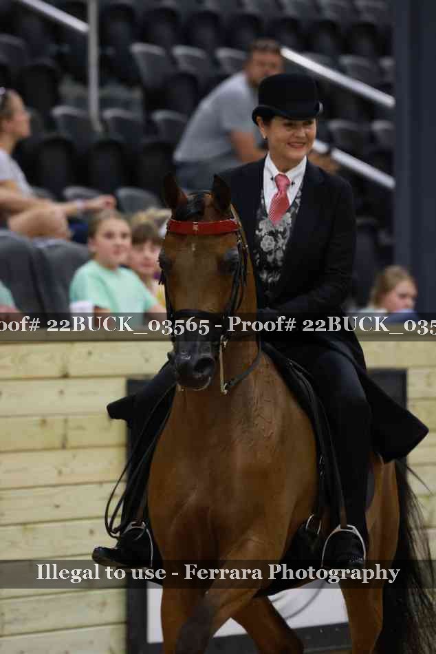 Proof 22BUCK_03565