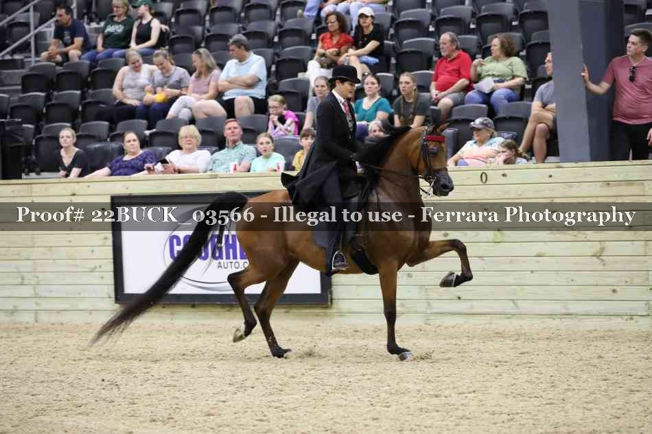 Proof 22BUCK_03566