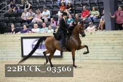 22BUCK_03566 proof