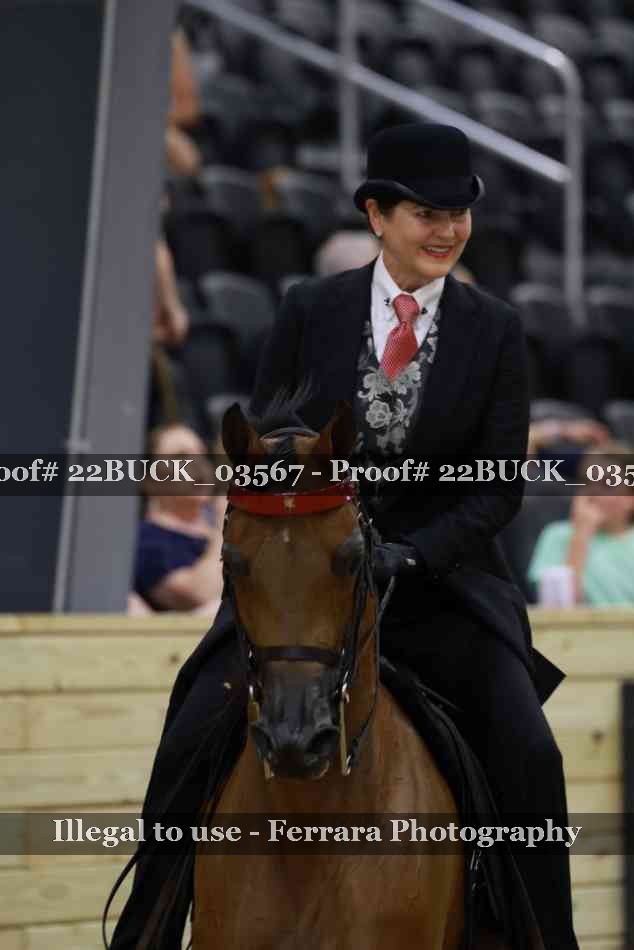 Proof 22BUCK_03567