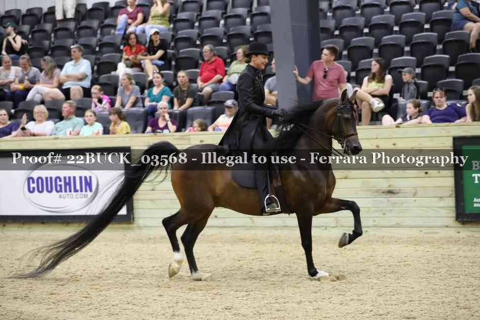 Proof 22BUCK_03568