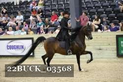 22BUCK_03568 proof