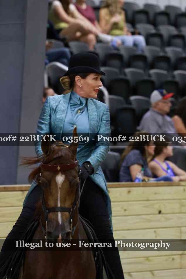 Proof 22BUCK_03569