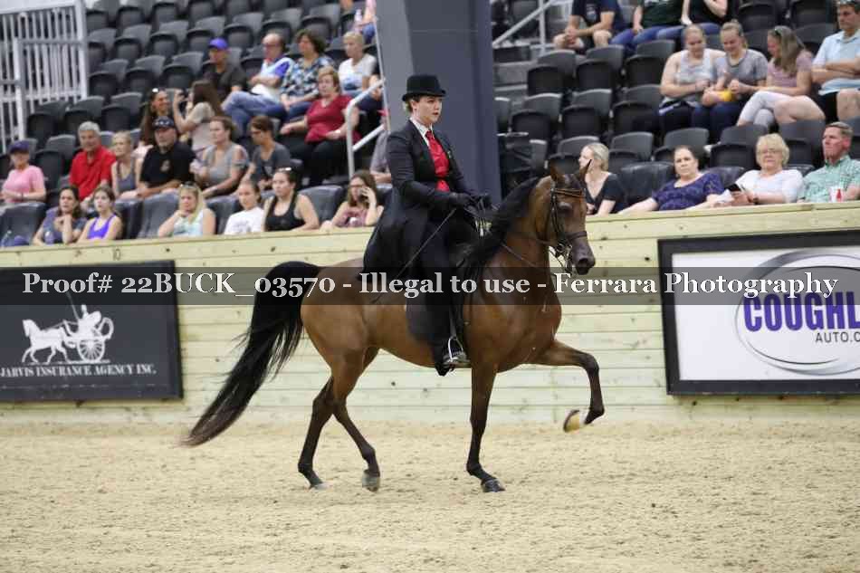 Proof 22BUCK_03570