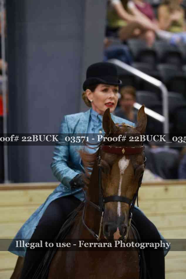 Proof 22BUCK_03571