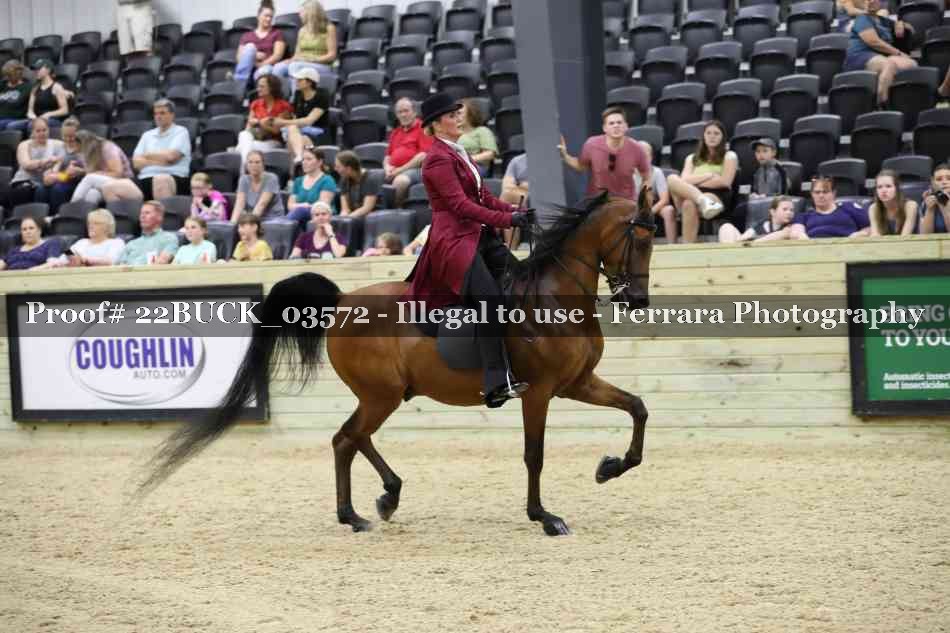 Proof 22BUCK_03572