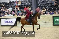 22BUCK_03572 proof