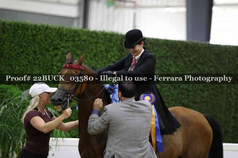 Proof 22BUCK_03580