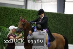 22BUCK_03580 proof