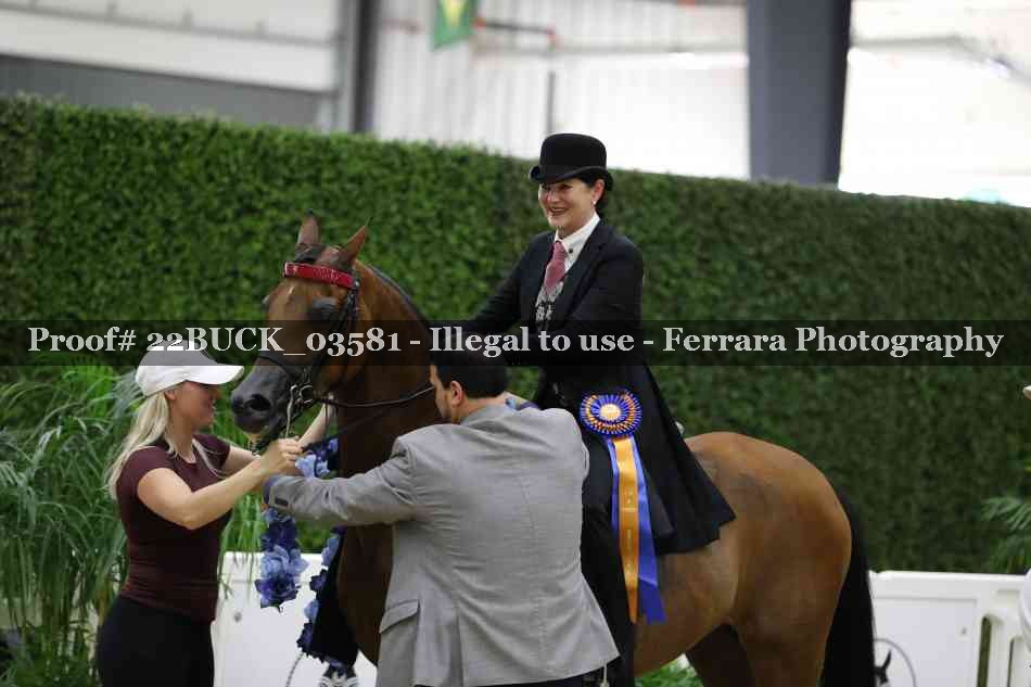 Proof 22BUCK_03581