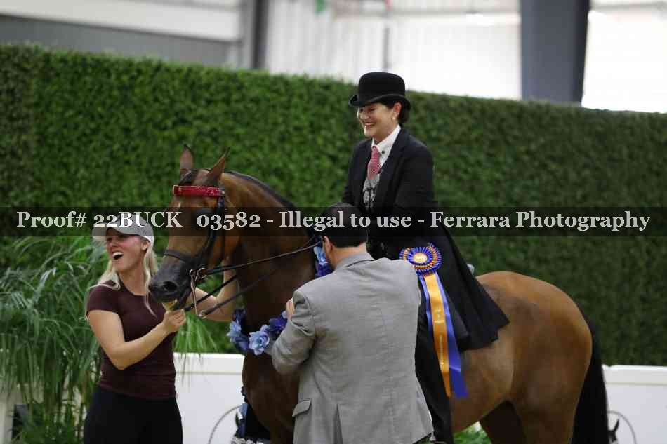 Proof 22BUCK_03582