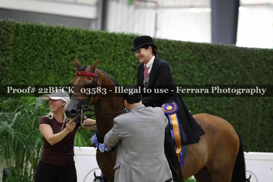 Proof 22BUCK_03583