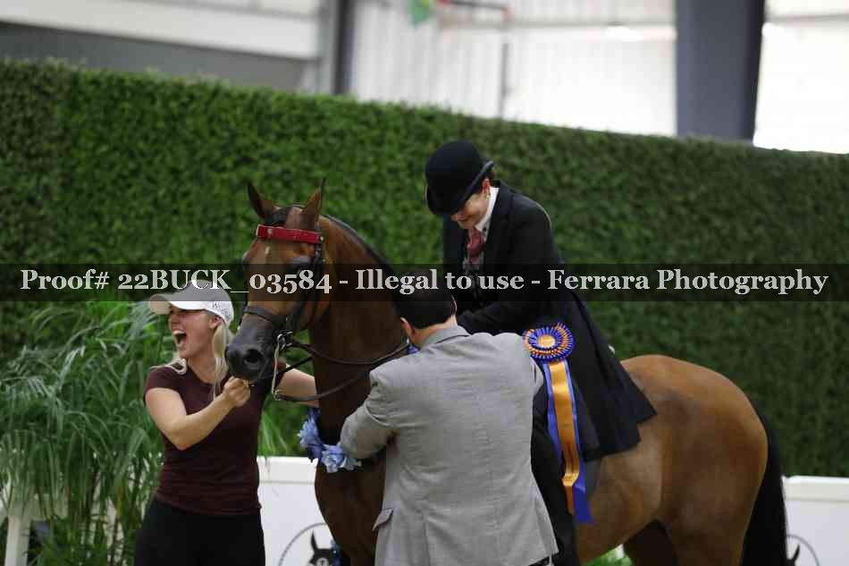 Proof 22BUCK_03584