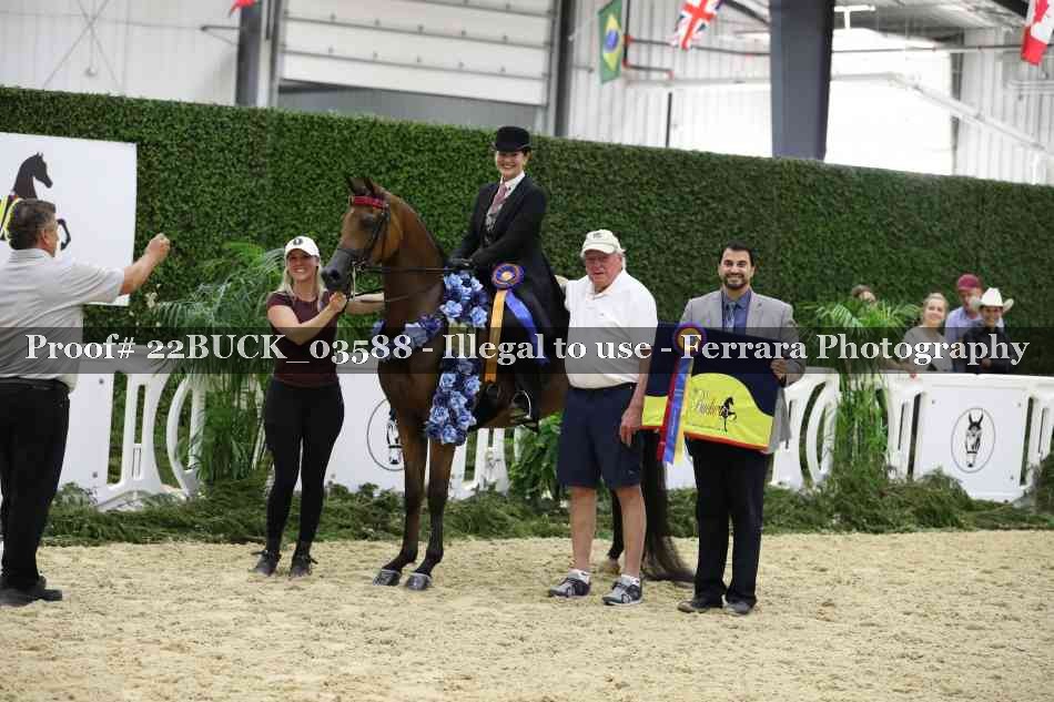 Proof 22BUCK_03588