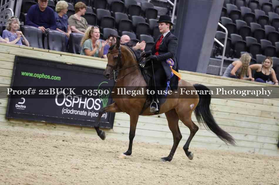 Proof 22BUCK_03590