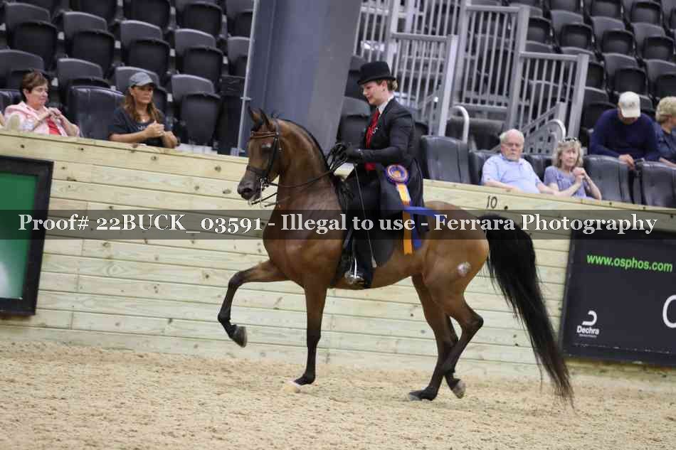 Proof 22BUCK_03591