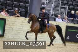 22BUCK_03591 proof