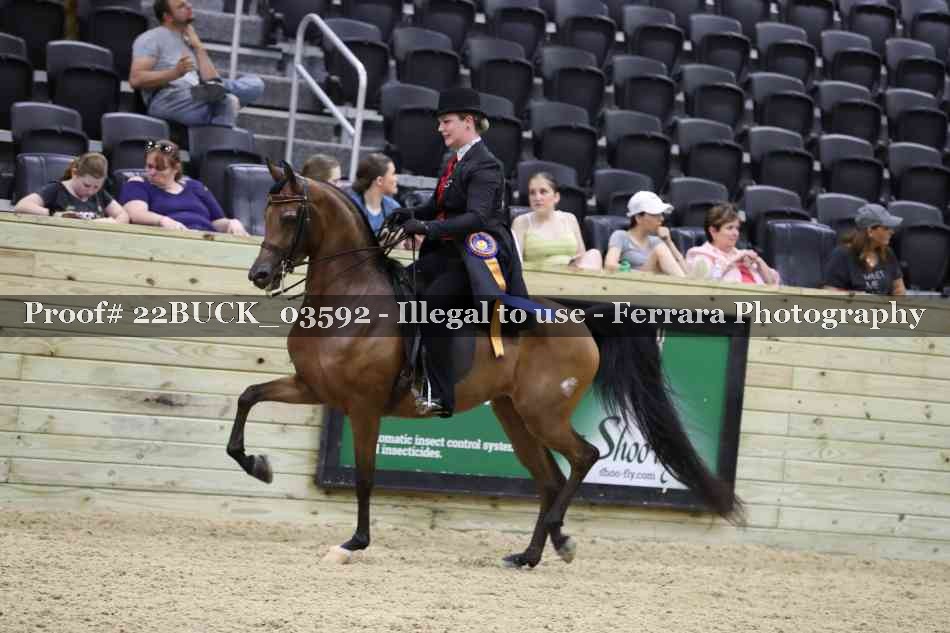 Proof 22BUCK_03592