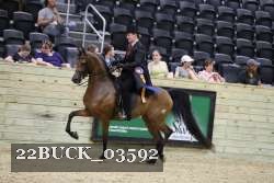 22BUCK_03592 proof