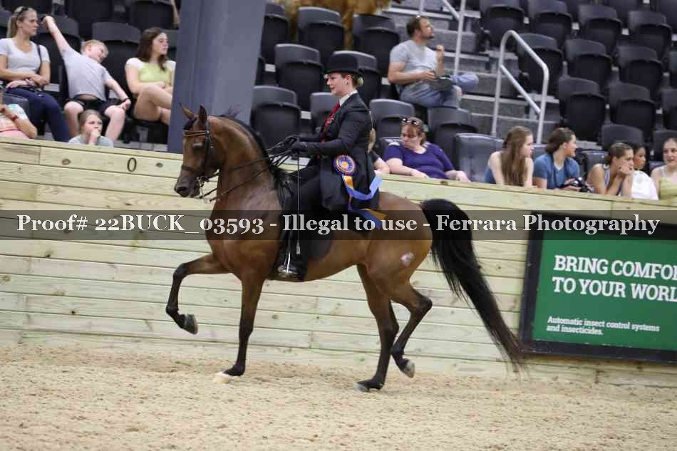 Proof 22BUCK_03593