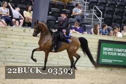 22BUCK_03593 proof