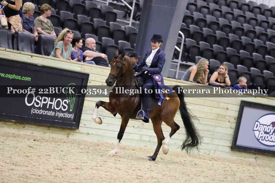 Proof 22BUCK_03594